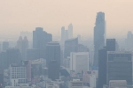 Productivity, Air Pollution Vs Productivity debate, how air pollution can impact your productivity and focus, Cognitive decline