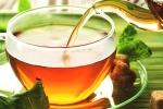 chamomile tea, herbs, is consuming tea linked to immunity, Sleep cycle