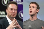 Elon Musk Vs Mark Zuckerberg new updates, Elon Musk Vs Mark Zuckerberg breaking, elon musk vs mark zuckerberg rivalry, Lol