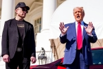 China Tariffs, Elon Musk and Donald Trump latest, elon musk asks donald trump to reverse china tariffs, Engaged