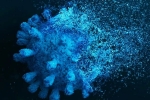 Gene Variant Coronavirus latest, Gene Variant Coronavirus updates, researchers identify gene variant that protects against coronavirus, Boston