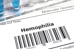 Haemophilia syptoms, Haemophilia, essential tips when you are travelling with haemophilia, Destination