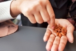 Healthy Evening Snacks advise, Healthy Evening Snacks breaking, healthy evening snack options to lose weight, Seasonal