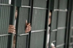 Indians in US, Punjab, over 2 300 indians in u s jails for illegal crossing of border report, Punjabis