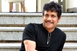 Nagarjuna new movies, Akhil, nagarjuna s 100th film will be a multi starrer, Nagarjuna 100th film