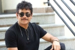 Nagarjuna 100th film, Nagarjuna next movie, nagarjuna s 100th film locked, Bangarraju