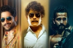 The Ghost, Akhil, akkineni family to support nagarjuna s the ghost, Madness