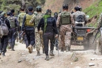Pahalgam attackers, Pahalgam attackers, pahalgam attackers likely hiding in south kashmir nia, Hind