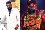 Mythri Movie Makers, Pushpa: The Rule latest updates, sanjay dutt s surprise in pushpa the rule, Sukumar