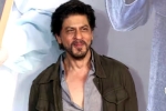 Shah Rukh Khan, Pathaan, shah rukh khan s next from march 2024, King khan