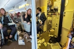 Singapore Airlines turbulence horror accident, Singapore Airlines turbulence horror news, one dead and 30 injured in singapore airlines turbulence horror, Singapore airlines