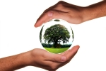 world environment day, world environment day slogans, world environment day here s how you can save the planet with these simple steps, Natural world